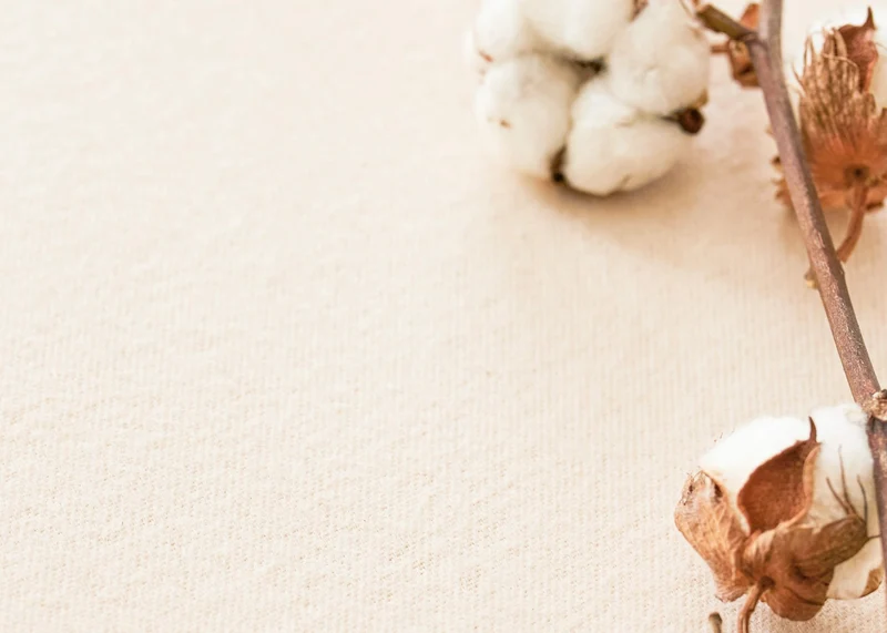 Protège-traversin en coton biologique