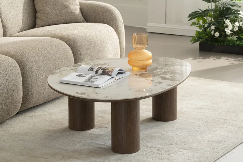 Table Basse de Salon DONA - 120 x 80 x 35 cm