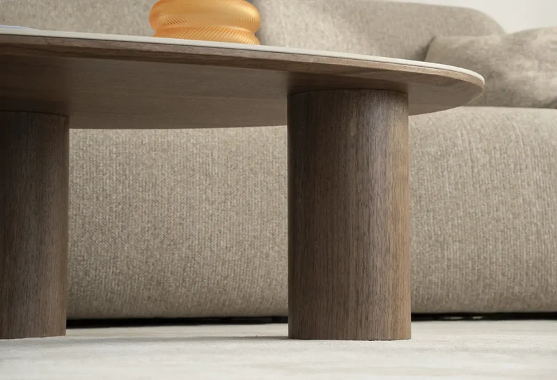 Table Basse de Salon DONA - 120 x 80 x 35 cm