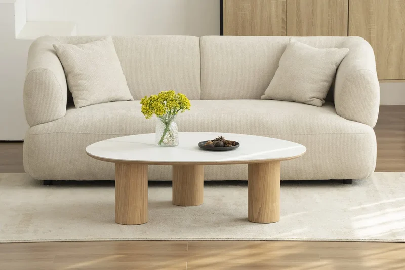 Table Basse de Salon DONA - 120 x 80 x 35 cm