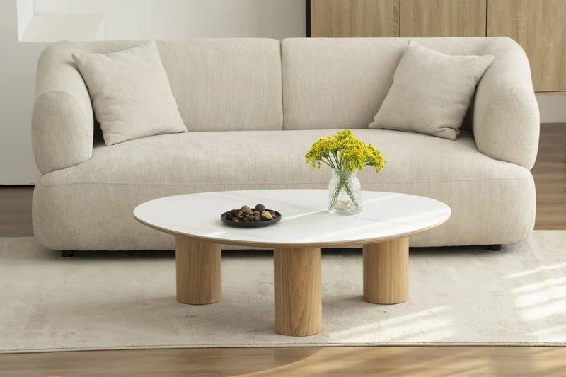 Table Basse de Salon DONA - 120 x 80 x 35 cm