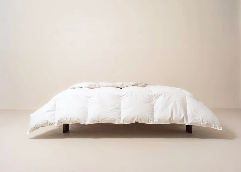 Couette en duvet et plumes