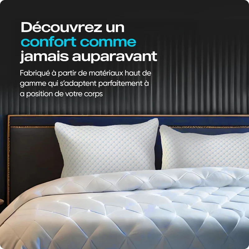 BSS DreamHouse Oreiller Nanotech