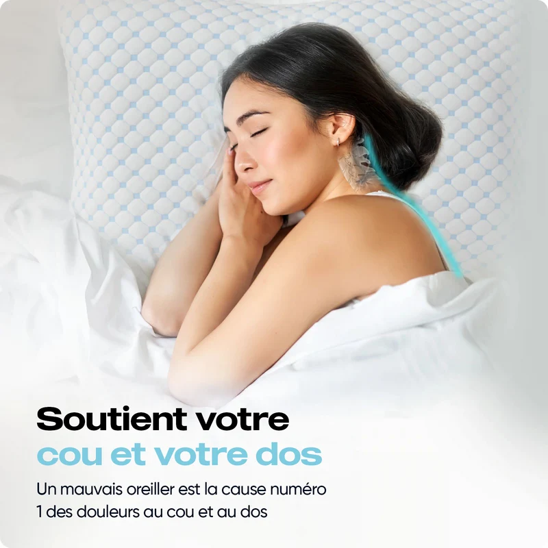 BSS DreamHouse Oreiller Nanotech