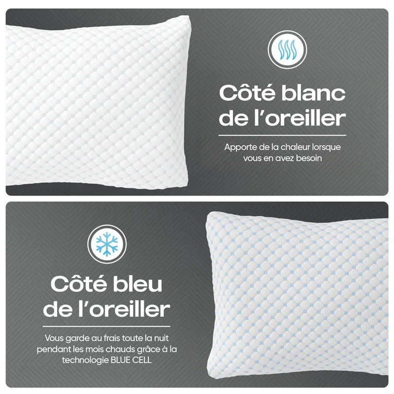 BSS DreamHouse Oreiller Nanotech