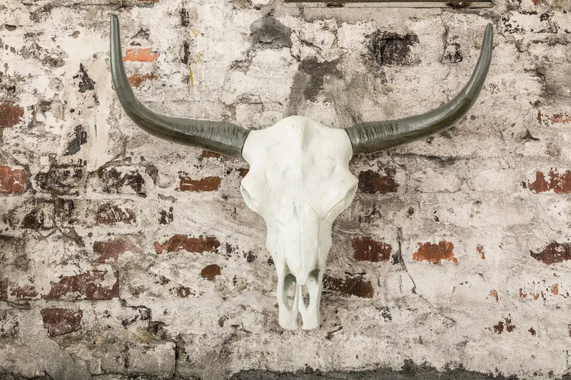 Imposant crâne de buffle EL TORO 70cm aluminium massif naturel
