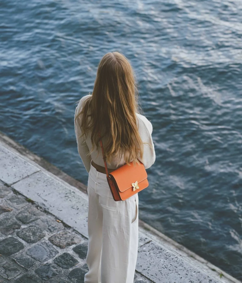 Hortensia | Mandarine