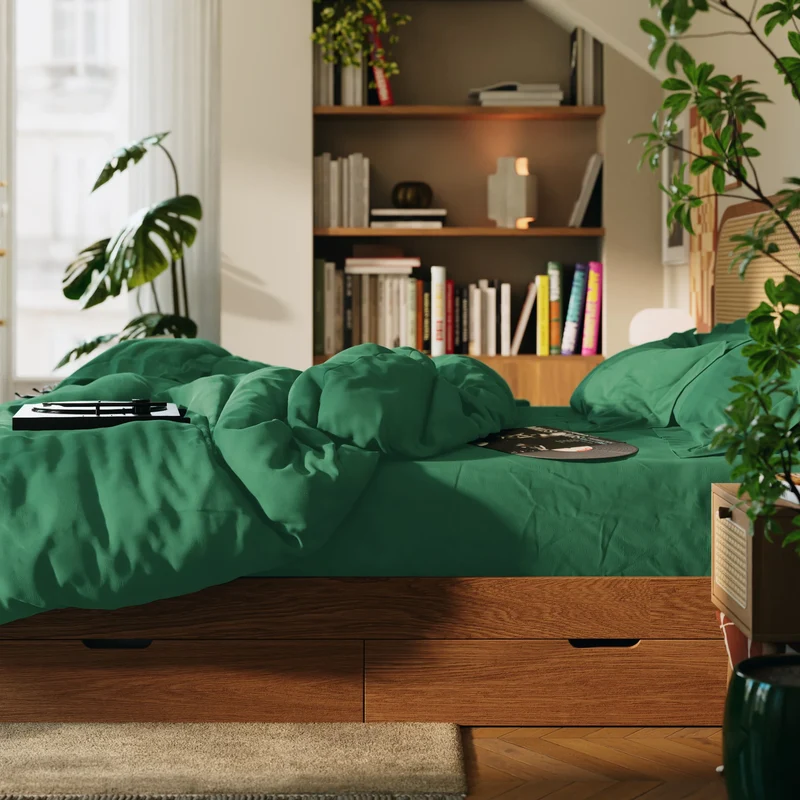 Taies d'oreiller percale