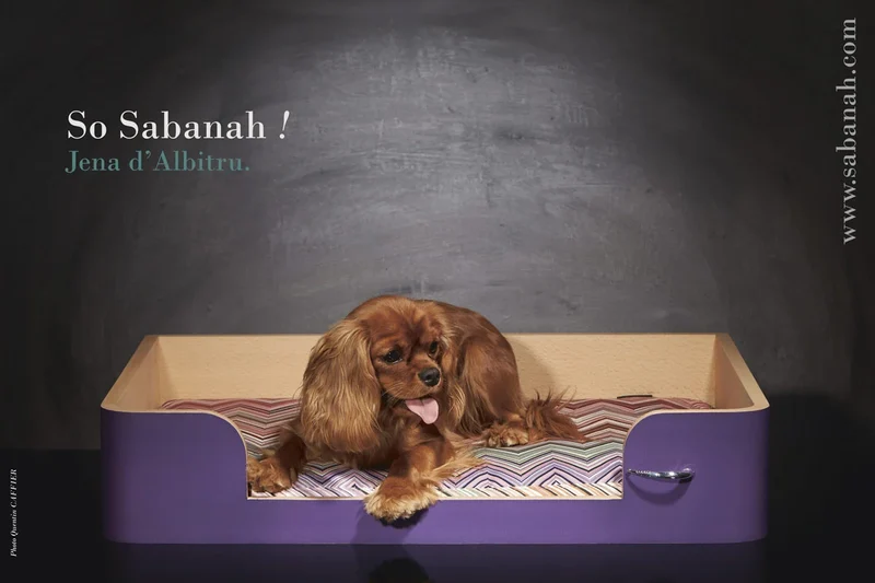 « Drôle de Panier » pour chien - Mauve Campanule