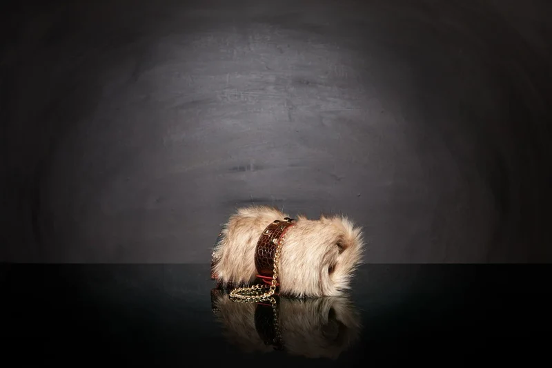 Couverture pour chien « Metis » Africa - Tissu Jean-Paul Gaultier