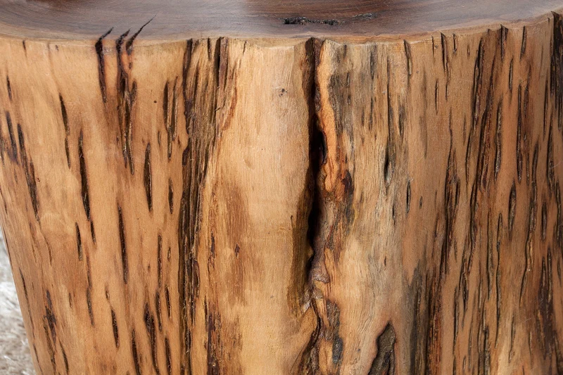 Lot de 2x Table basse en bois massif GOA 50cm tabouret en tronc d’arbre d’acacia table d’appoint fait main