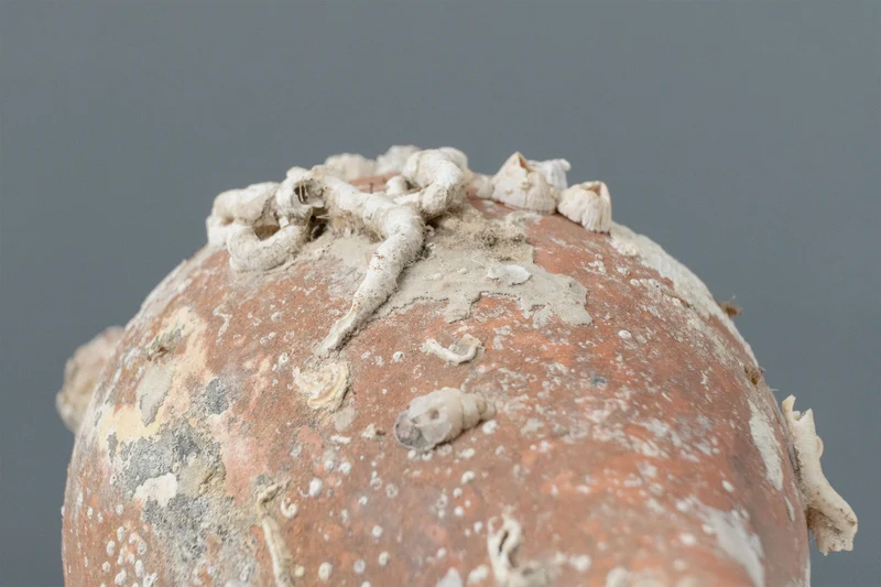 Amphore de mer 'Pisa'