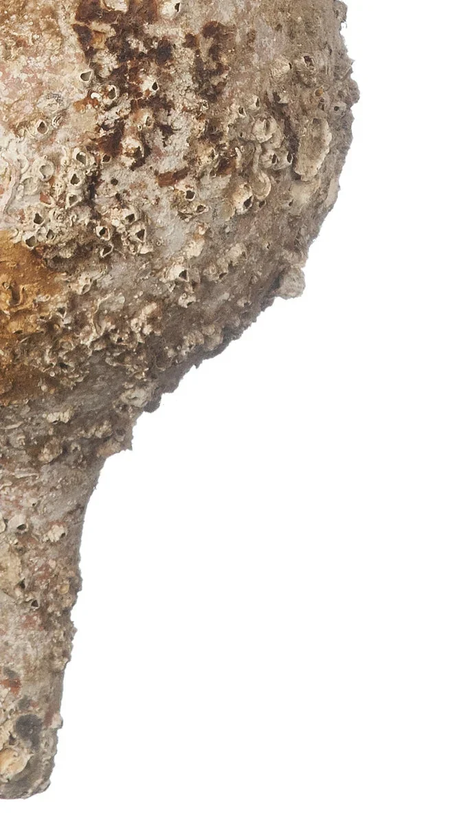 Amphore de mer antique 'Baetica'