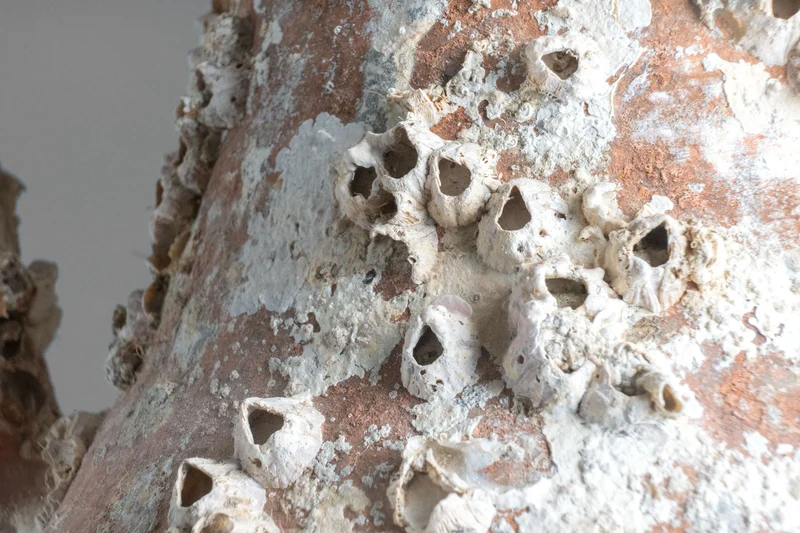 Amphore de mer antique 'Sicilia'