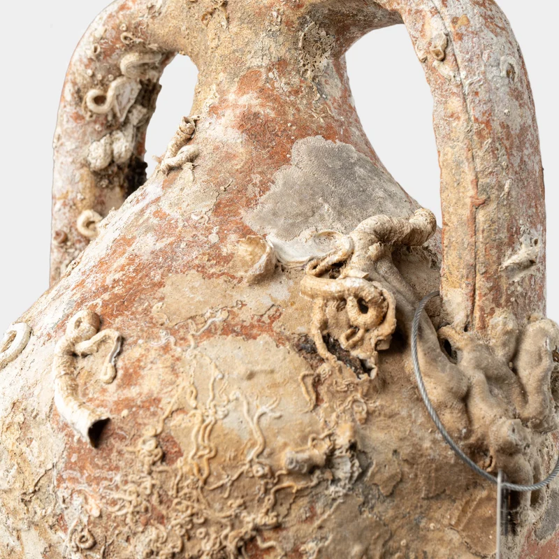 Amphore de mer antique grecque