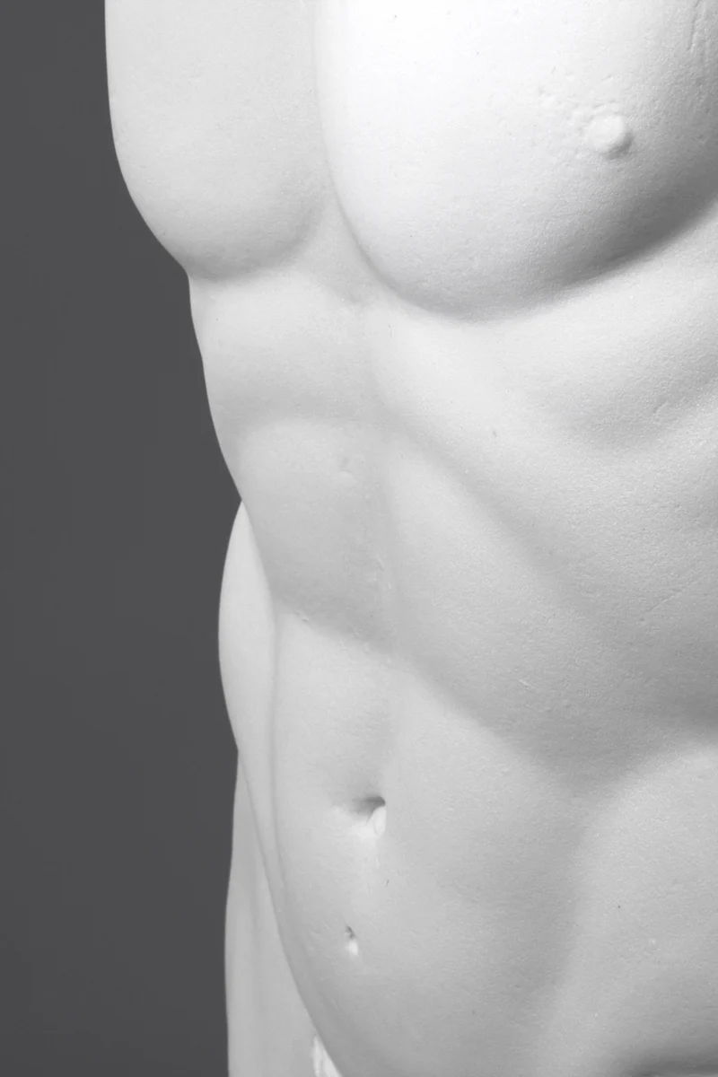 Torse de mâle - grande sculpture en marbre blanc
