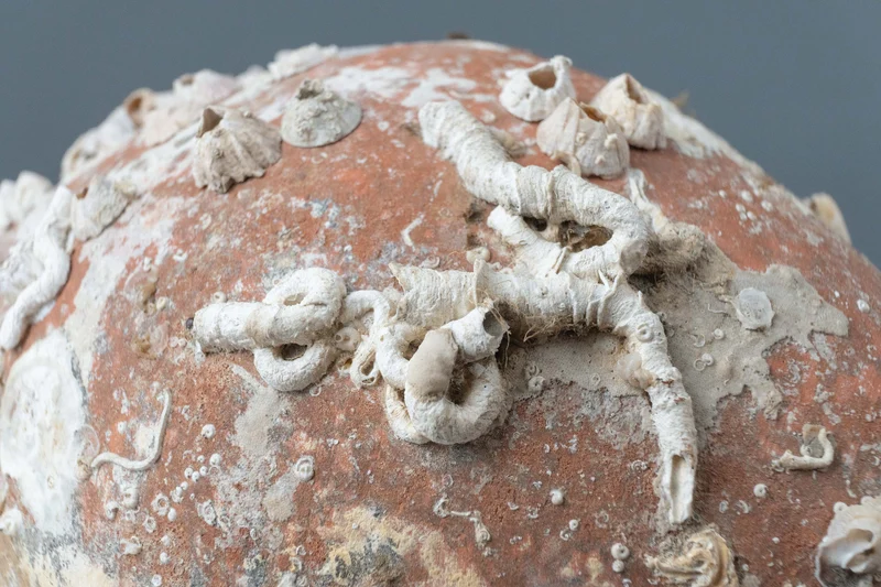 Bougeoir Amphore de mer antique