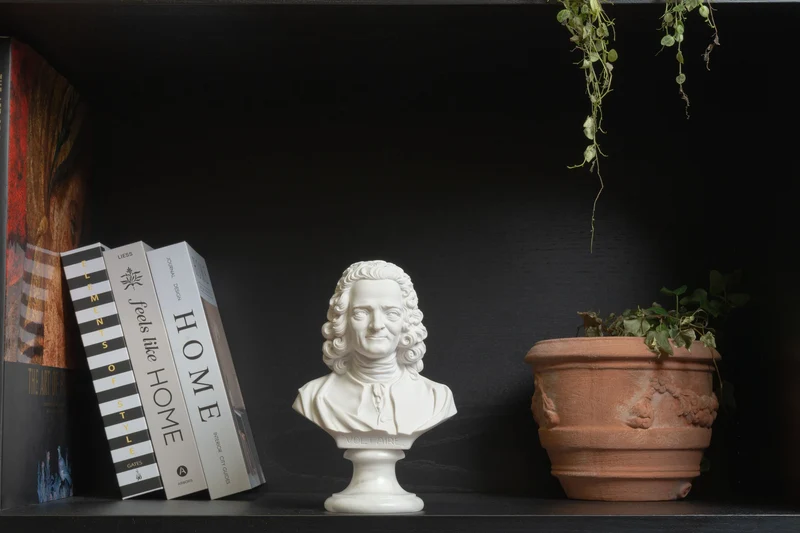 Buste de Voltaire — Esprit des Lumières