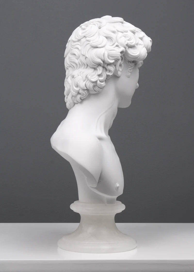 Buste David par Michel-Ange - sculpture en marbre