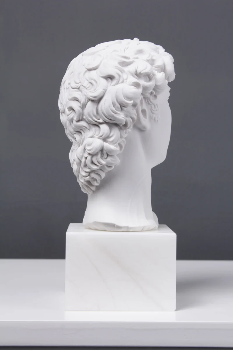 Buste de David (par Michel-Ange) - sculpture en marbre