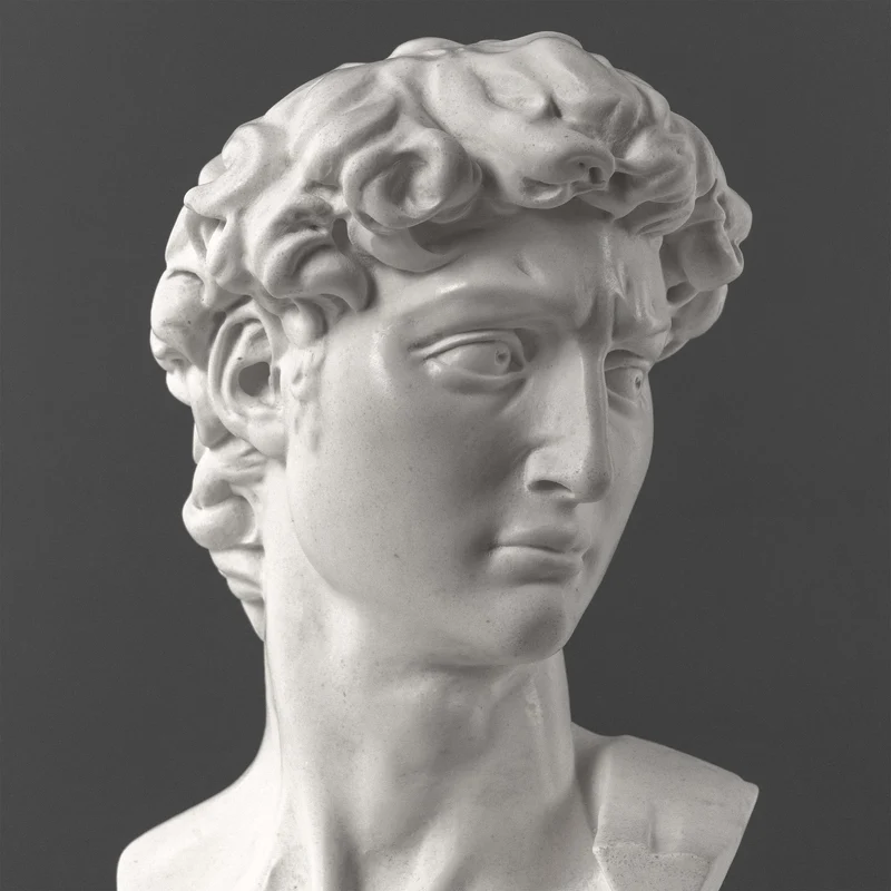 Buste de David par Michel-Ange (Grand Modèle)