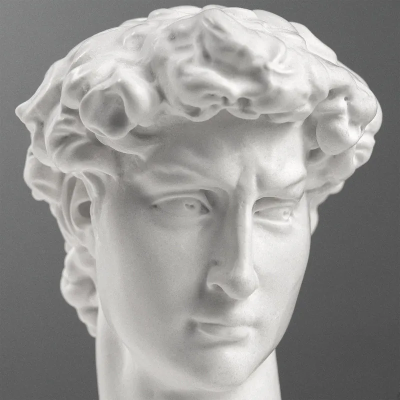 Buste de David par Michel-Ange (Petit)