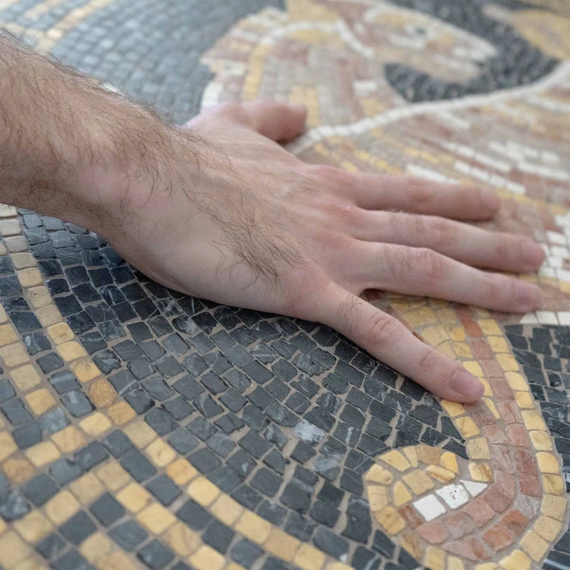 Mosaïque Lion ailé - en marble