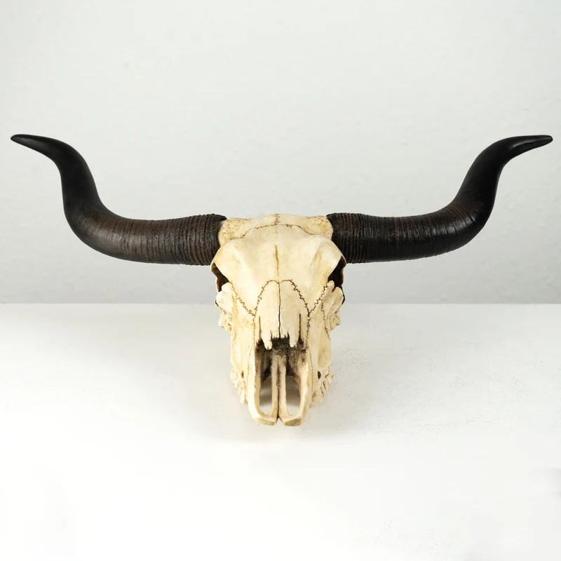 Sculpture Murale de Crane Longhorn (Statue en Resine)