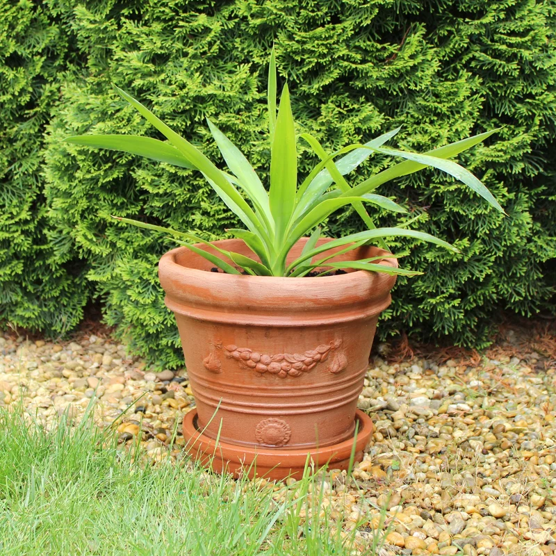 Moyen Pot Terracotta