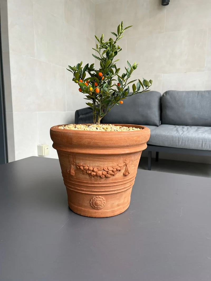 Moyen Pot Terracotta