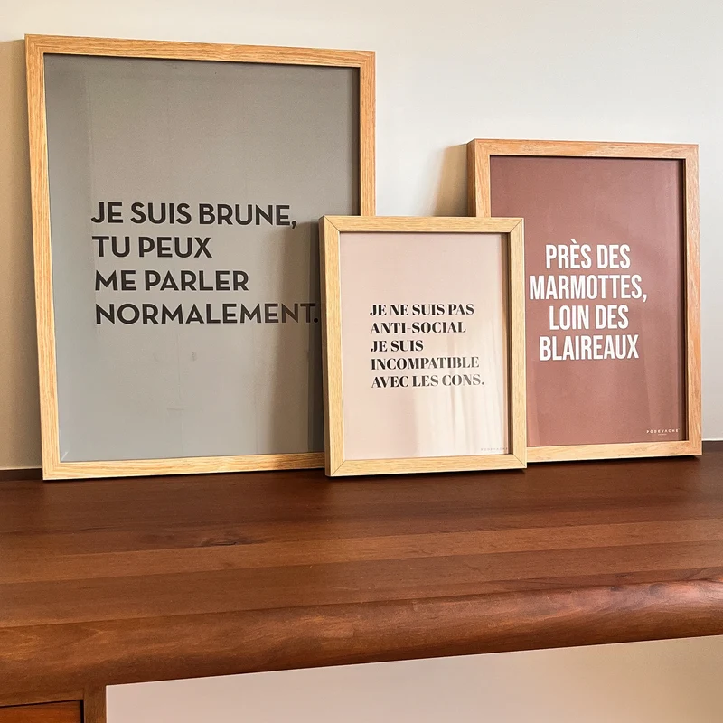 Affiche ou affiche encadrée Anti Social