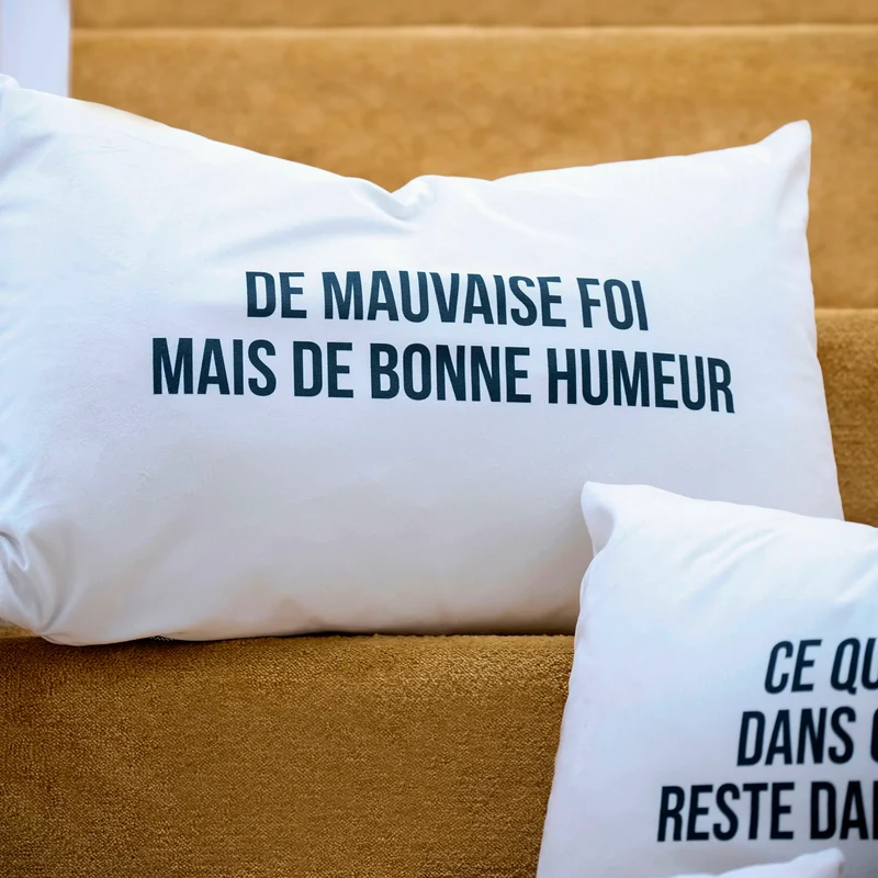 Coussin Velours Mauvaise Foi