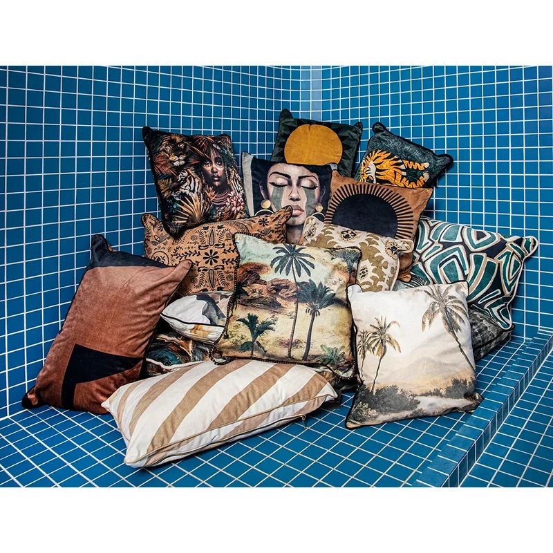 Coussin velours Sinko