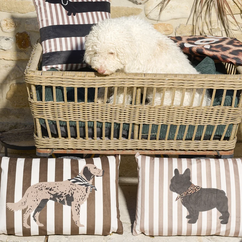 Coussin velours Stripes Big Dog