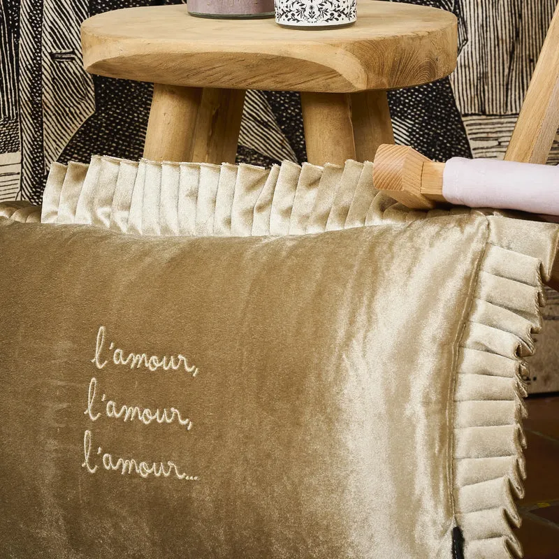 Coussin velours brodé Leyva