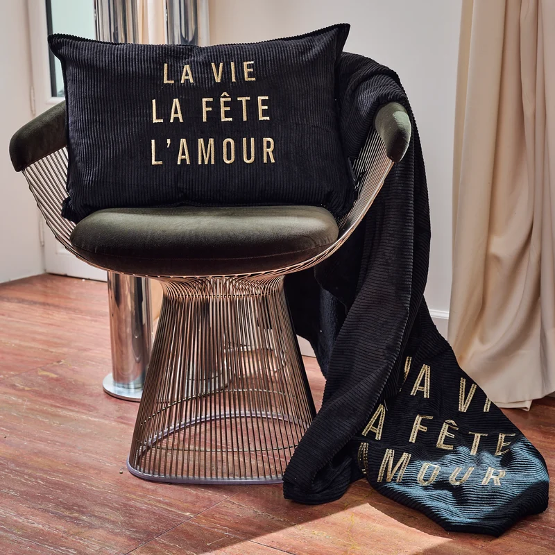 Coussin velours brodé Vie Fête Amour