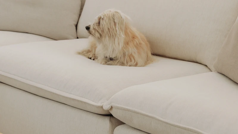 Chill Time 2-Piece Modular Sofa, Birch