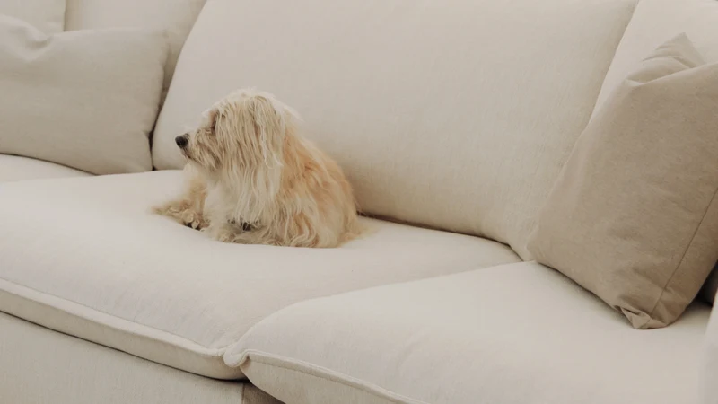 Chill Time 3-Piece Modular Sofa, Birch