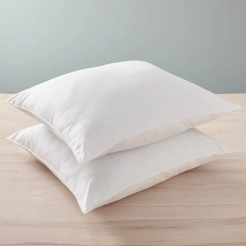 Lot de 2 Oreillers Gamme "Confort" 60 x 60 cm