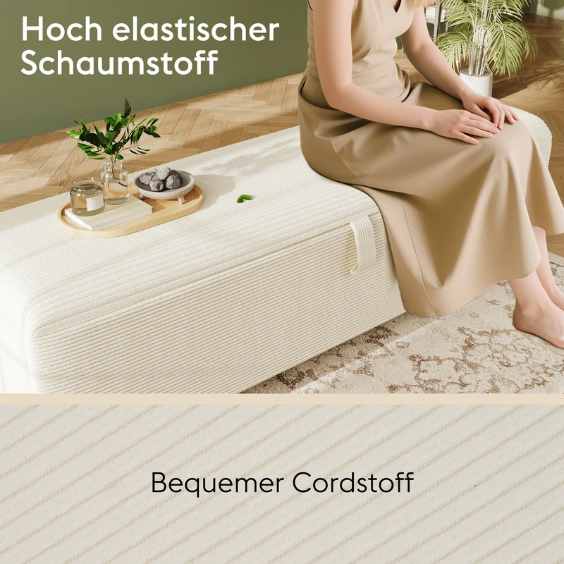 Ensemble lit coffre double rembourré avec tête de lit réglable, prise USB et coffre de lit (matelas non inclus) ANTIGEN